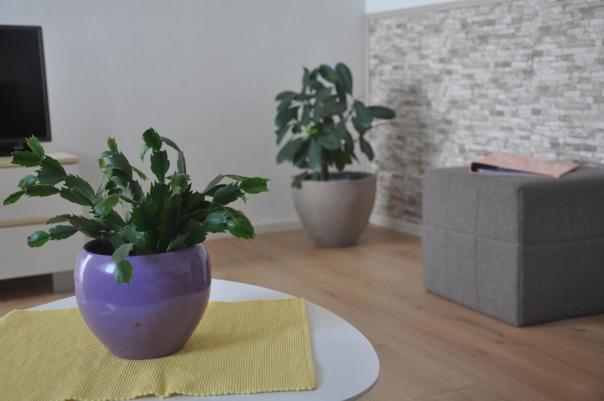 Apartman Mirna روفينج المظهر الخارجي الصورة